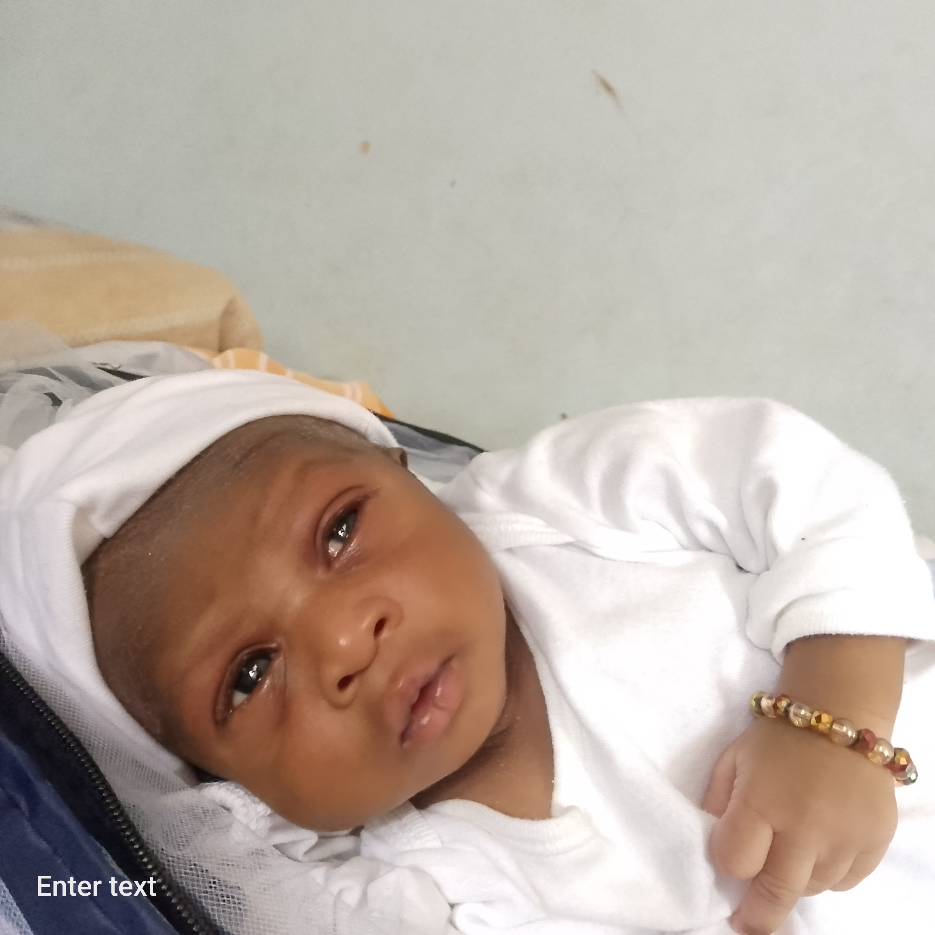 Muhammed Hawwal Moyinoluwa